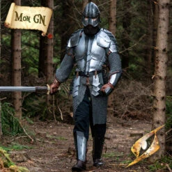 Armure Complète Dreki