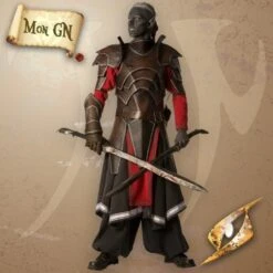 Armure De L'Elfe Noir