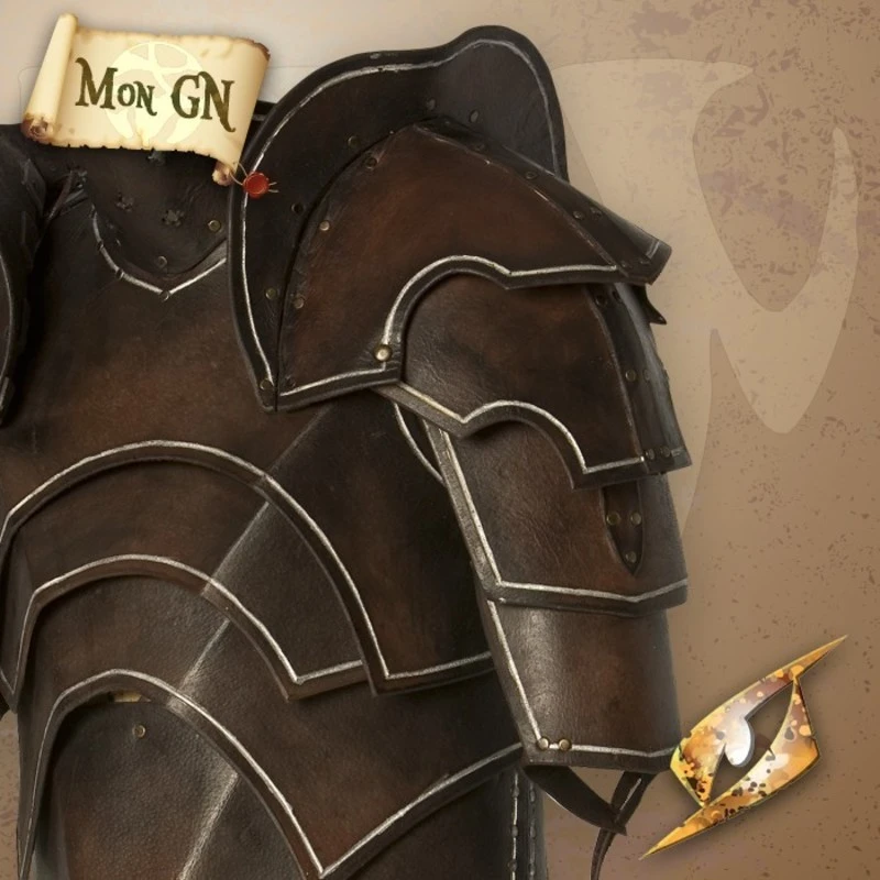 Armure De L'Elfe Noir 5 Armure De L'Elfe Noir – Image 5