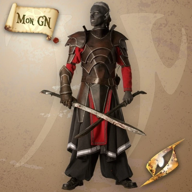 Armure De L'Elfe Noir 1 Armure De L'Elfe Noir