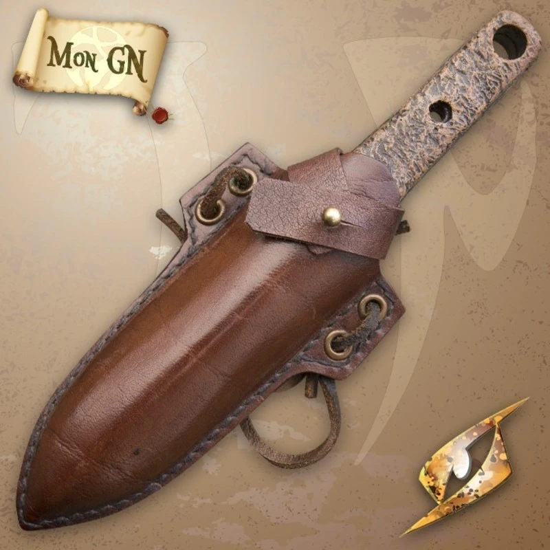 Fourreau Et Couteau De Lancer D'initiative 1 Fourreau Et Couteau De Lancer D'initiative