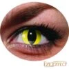 Lentilles - Oeil De Chat Jaune