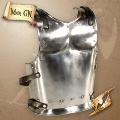 Plaque De Dos De Guerrier