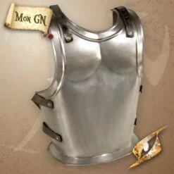 Plaque De Dos Du Roi