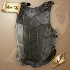 Plastron Sombre Du Dragon