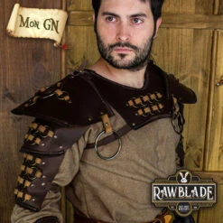 Spallières Et Gorgerin Du Combattant