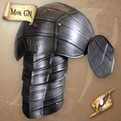 Spallières Sombres Du Dragon