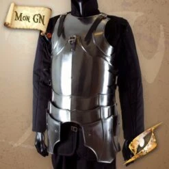Torse D'Armure Gothique